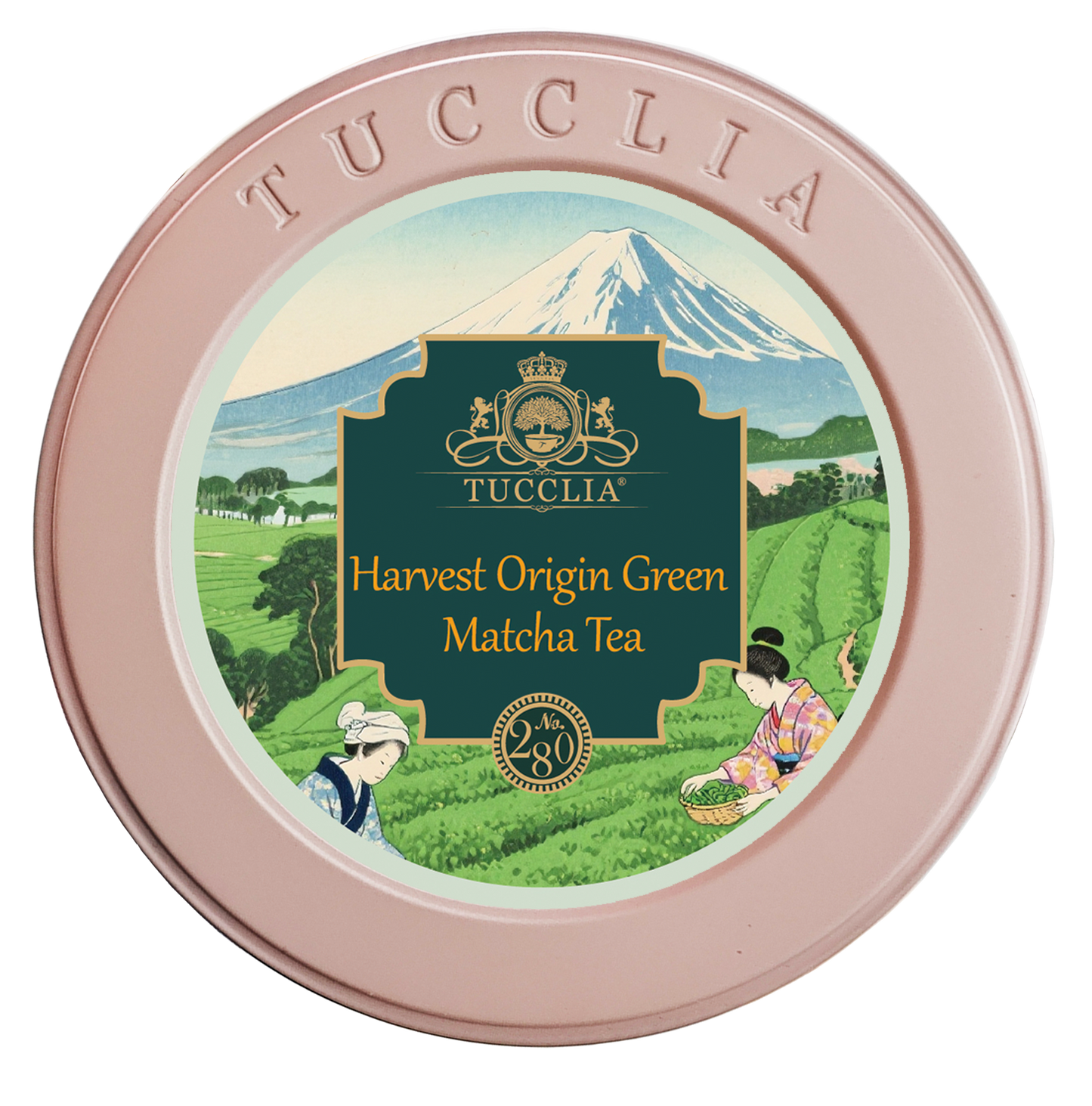 Harvest Origin Green Matcha Tea