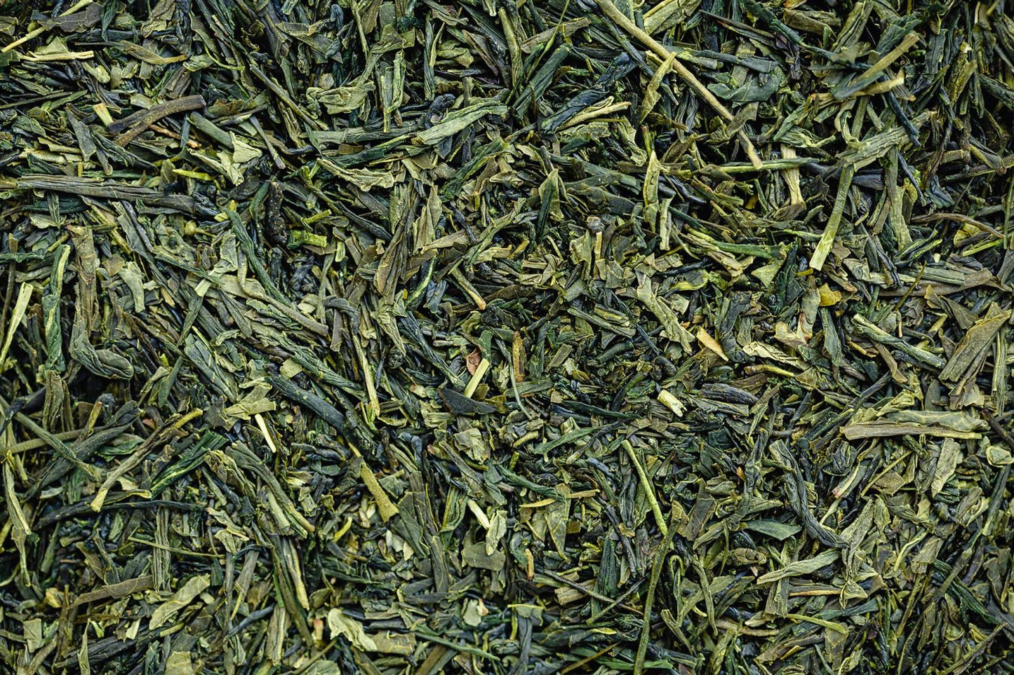 Sencha-tea bags